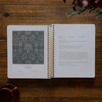 A Year in the Bible | Volume 2 Bible Study